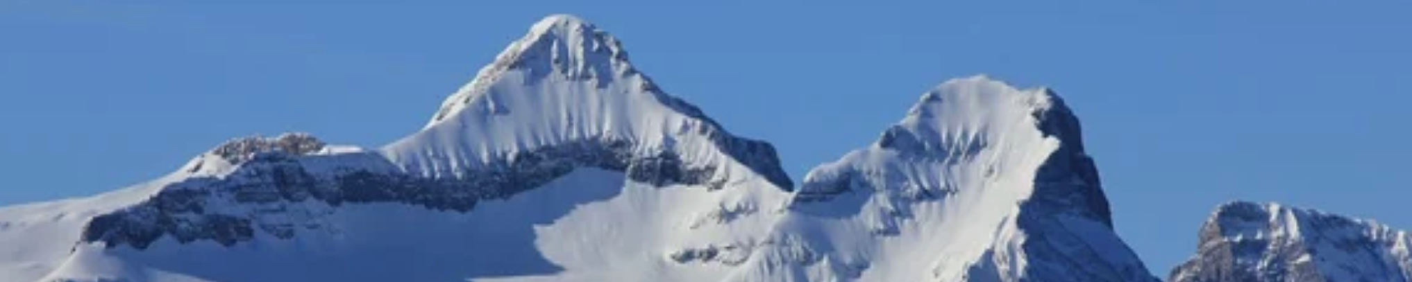 Ihre Zahlen in guten Händen